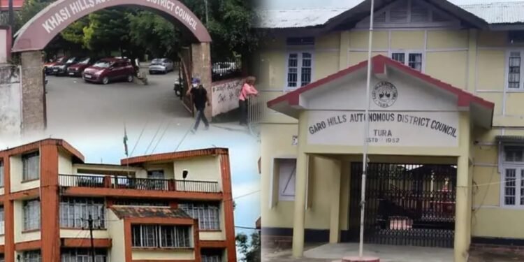 ‘Govt should not intrude on district councils’ autonomy’