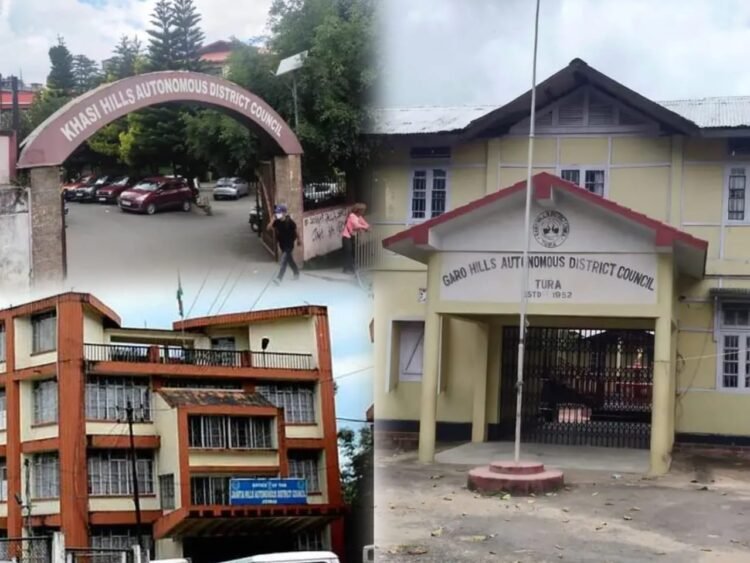 ‘Govt should not intrude on district councils’ autonomy’