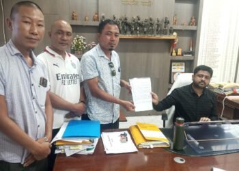 NGOs push for setting up of bamboo industry