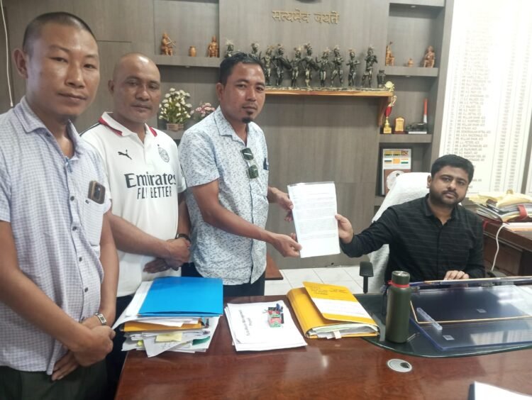 NGOs push for setting up of bamboo industry