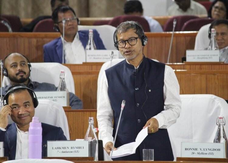 Amlarem facing powercuts despite nearby large hydro projects