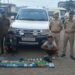 Half kilo of heroin valued at Rs 2.5 cr seized, 2 arrested