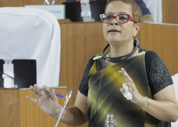 Ampareen spells out why PPP model needed for Tura Medical College