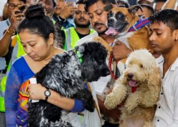 Zubeen’s four canine companions bid adieu to their master