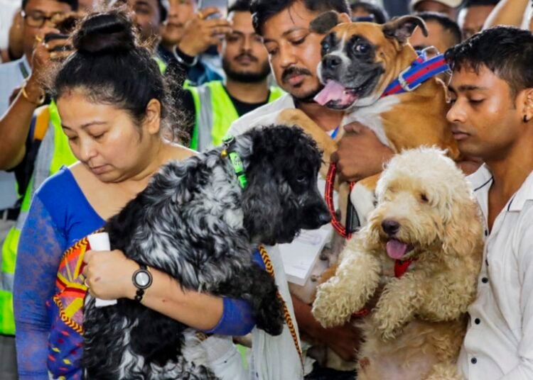 Zubeen’s four canine companions bid adieu to their master