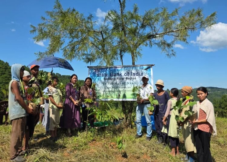 SBI plants 3500 saplings at Nongkohlew