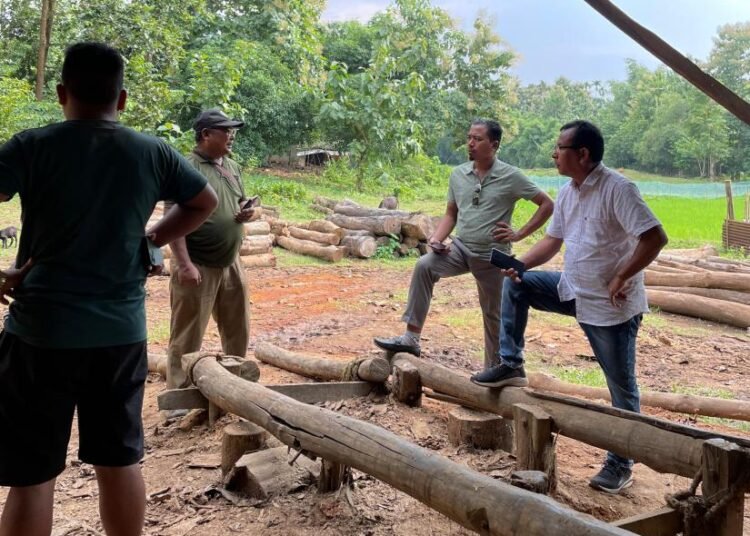 9 ‘illegal’ sawmills in Raksamgre closed