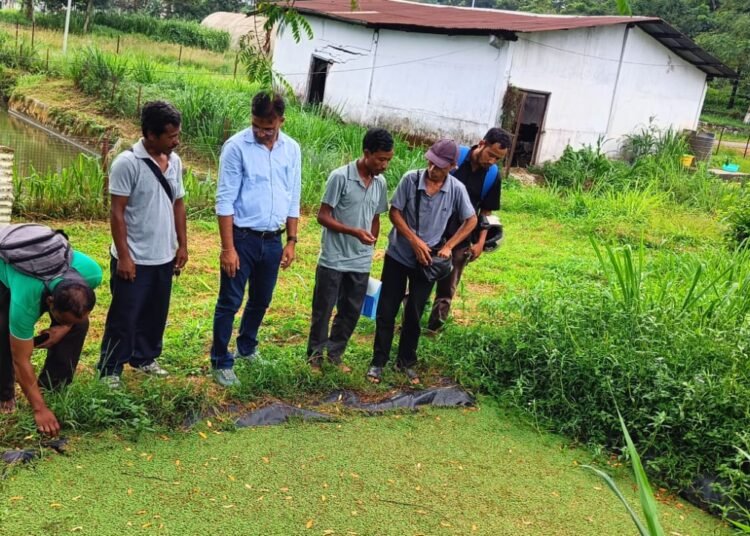 Training prog held to improve agricultural and piggery practices