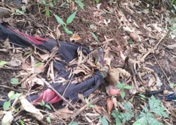 Skeleton of man missing since June found in Ri-Bhoi forest