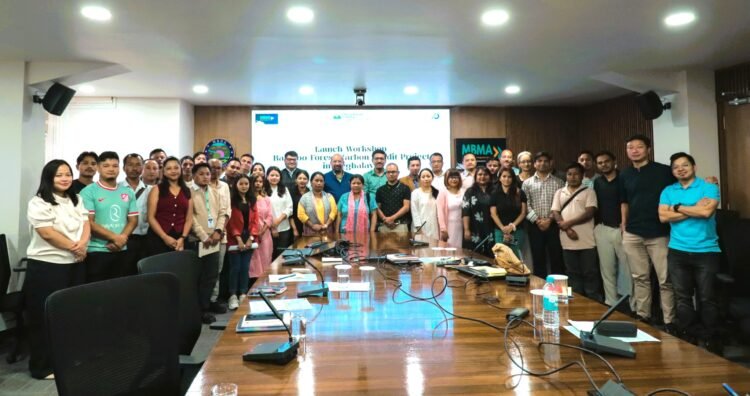 Carbon credits from bamboo forests project launched