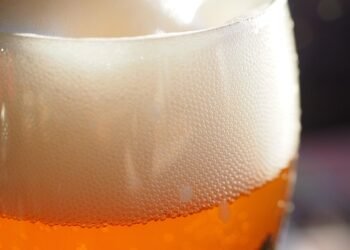 Beer makers raise glass to Meghalaya’s slashing of taxes