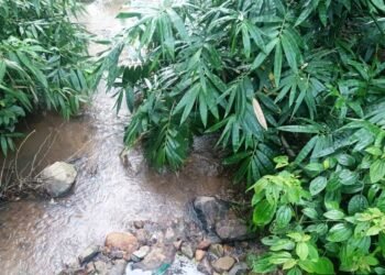 Garo group warns against road project’s potential harm to stream