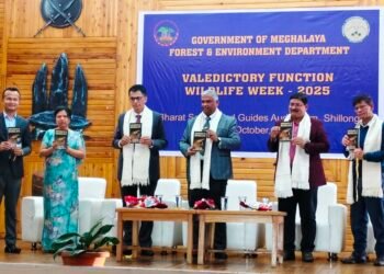 Meghalaya’s amphibians take centre stage in new book