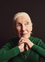 A Tribute to Dr. Jane Goodall: A Beacon of Hope for Conservation and Compassion