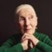 A Tribute to Dr. Jane Goodall: A Beacon of Hope for Conservation and Compassion
