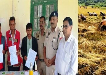 Farmers harvest paddy in Lapangap as tension ends