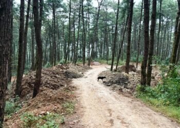 ‘Green hills of Lumparing-Laban facing rampant degradation’