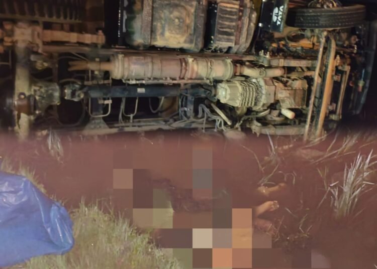 Four killed, three injured as speeding truck runs over pedestrians in Thadrang