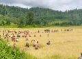 Meghalaya-Assam villagers’ scuffle leaves one dead, night curfew imposed