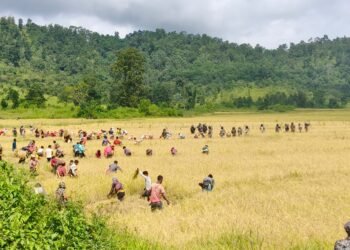 Meghalaya-Assam villagers’ scuffle leaves one dead, night curfew imposed