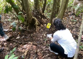 Suspect in teen girl’s murder taken to crime scene