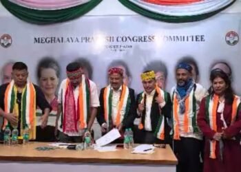Zenith regrets ever leaving Congress: ‘This is where I truly belong’
