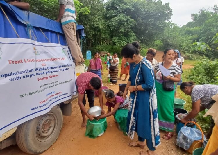 120 kg fish fingerlings provided to farmers in Garo Hills
