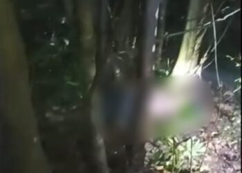 Meghalaya reels from latest murder of child; 13-yr-old girl falls victim in Ri-Bhoi