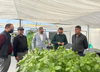 Aquaponic & hydroponic farming project inaugurated in Laitkor