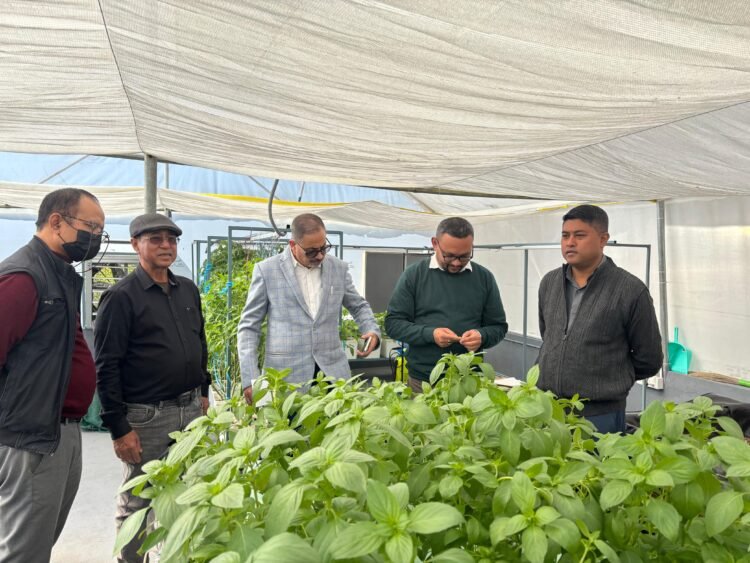 Aquaponic & hydroponic farming project inaugurated in Laitkor