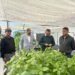 Aquaponic & hydroponic farming project inaugurated in Laitkor