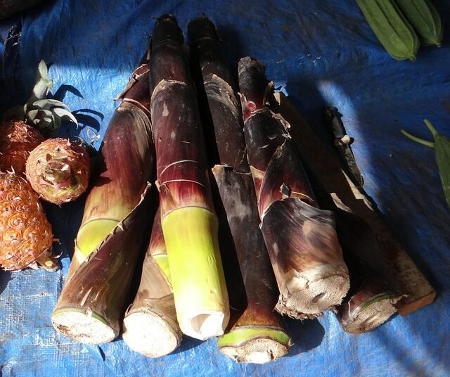 Carnival to celebrate Northeast in Bengaluru on Sunday