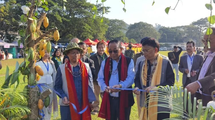 A•we Festival begins in North Garo Hills