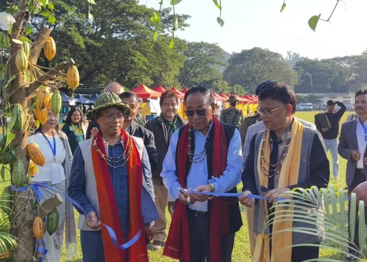 A•we Festival begins in North Garo Hills