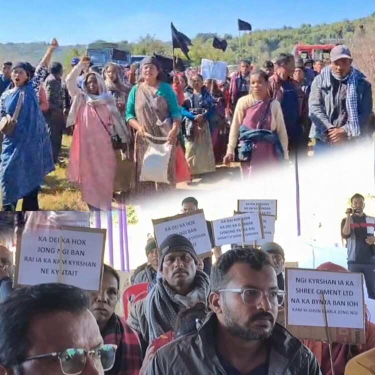 Voices of dissent bulldozed out of public hearing for Shree Cement