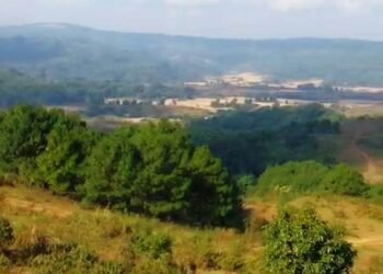 HITO urges Centre to halt proposed plant