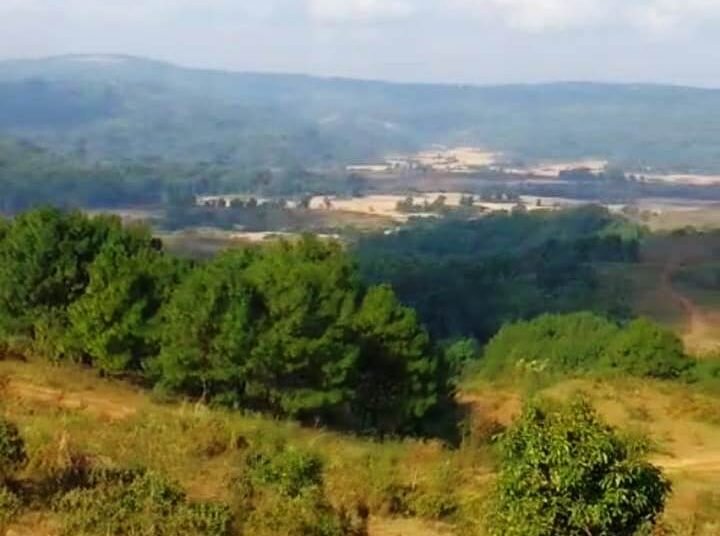 HITO urges Centre to halt proposed plant