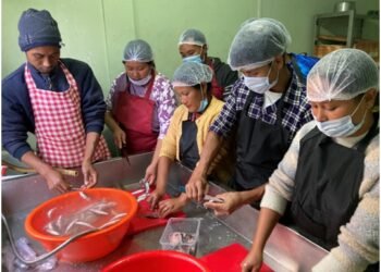 Capacity-building training on fish processing concludes