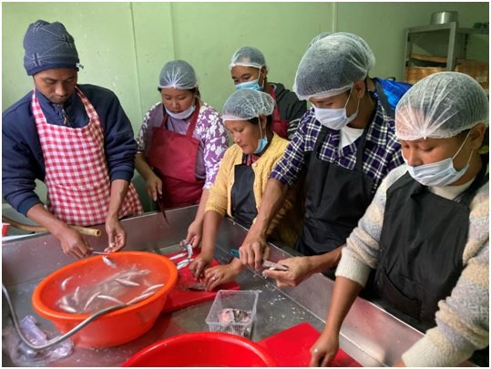 Capacity-building training on fish processing concludes