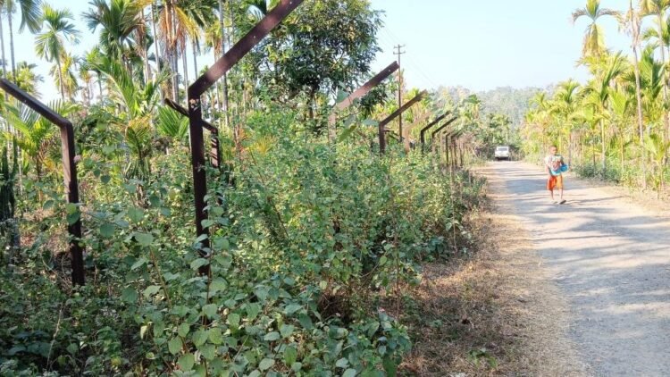 Indo-Bangladesh border fencing: CCIB steps up opposition, calls for fair treatment