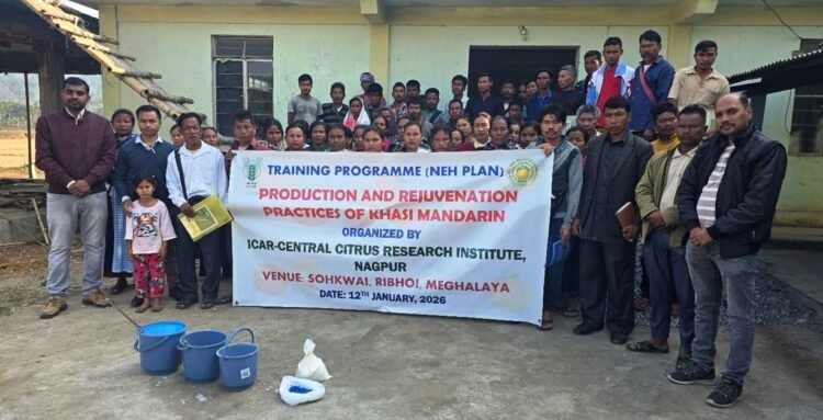 Citrus farmers trained on production