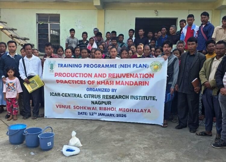 Citrus farmers trained on production