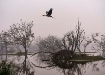Winter woes: Water pipes freeze in parts of Himachal; Delhi records first cold day of year