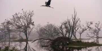 Winter woes: Water pipes freeze in parts of Himachal; Delhi records first cold day of year