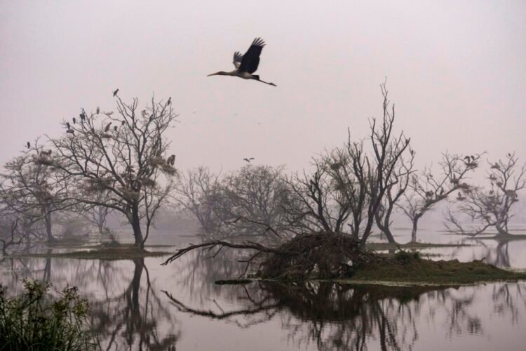 Winter woes: Water pipes freeze in parts of Himachal; Delhi records first cold day of year