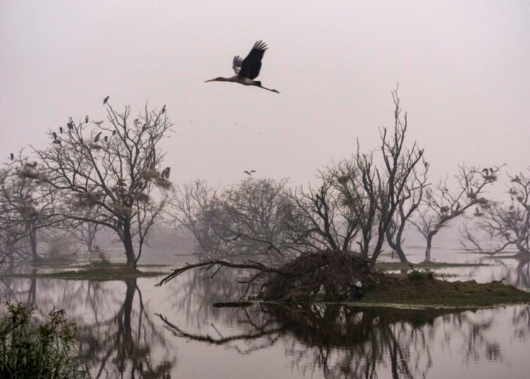 Winter woes: Water pipes freeze in parts of Himachal; Delhi records first cold day of year