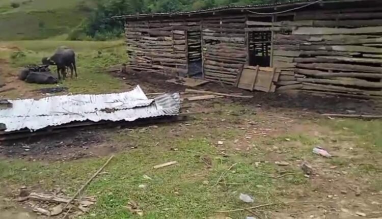 Over 1000 seized cattle mysteriously disappear in multi-crore illicit trade network?