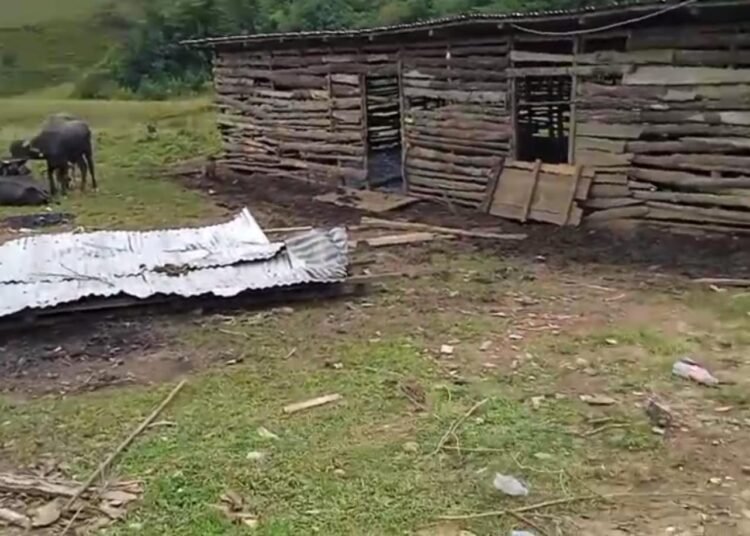 Over 1000 seized cattle mysteriously disappear in multi-crore illicit trade network?