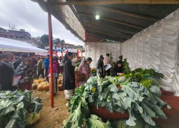 Horticulture Exhibition held in Jowai