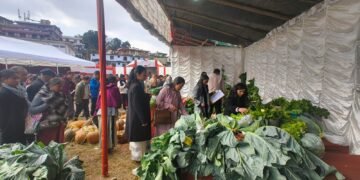 Horticulture Exhibition held in Jowai